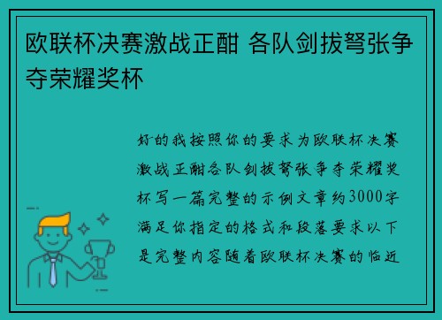 欧联杯决赛激战正酣 各队剑拔弩张争夺荣耀奖杯